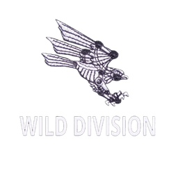 Wild Division — 82nd Air Assault Brigade