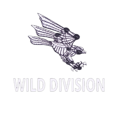 Wild Division — 82nd Air Assault Brigade
